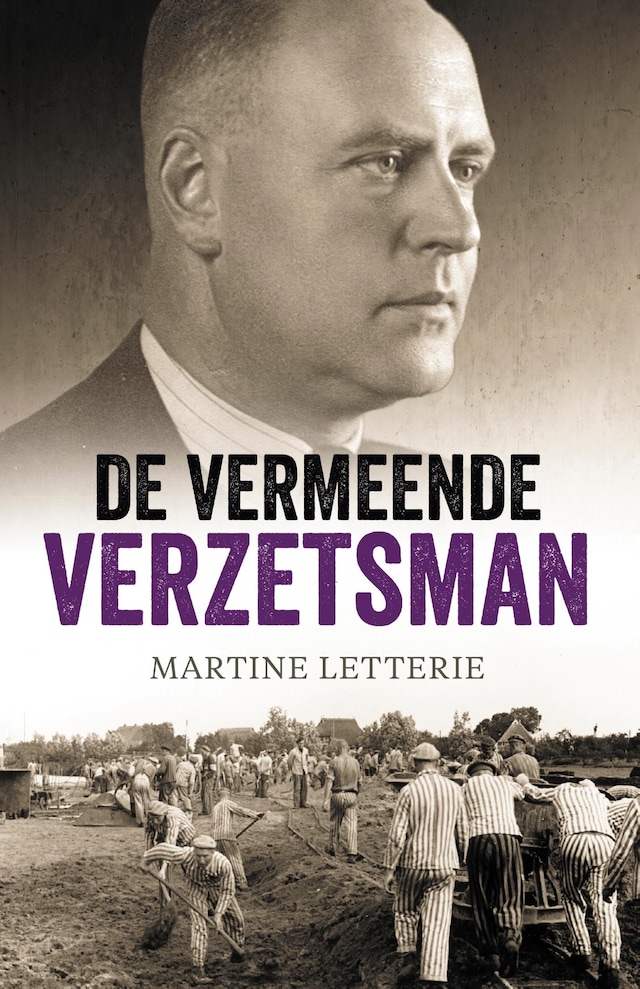 Book cover for De vermeende verzetsman