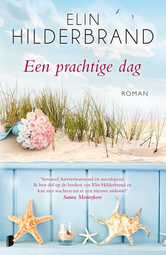 Book cover for Een prachtige dag