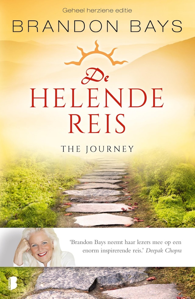 Buchcover für De helende reis