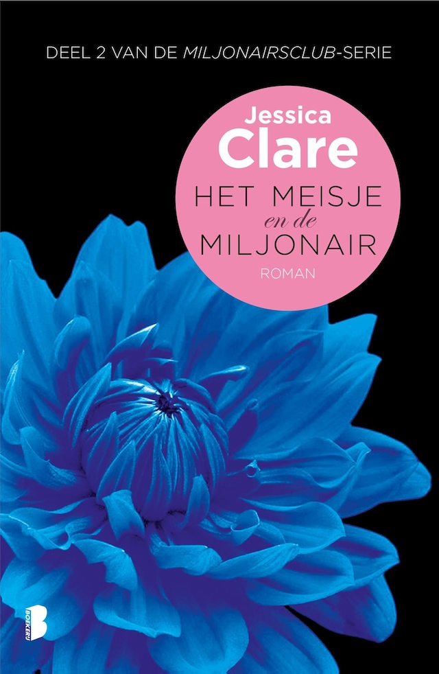 Book cover for Het meisje en de miljonair