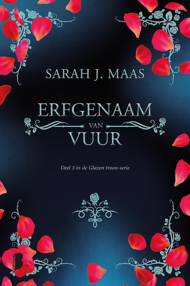 Book cover for Erfgenaam van vuur