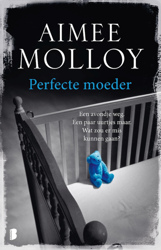 Book cover for Perfecte moeder