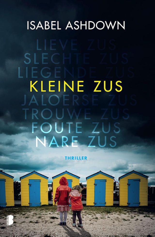 Book cover for Kleine zus