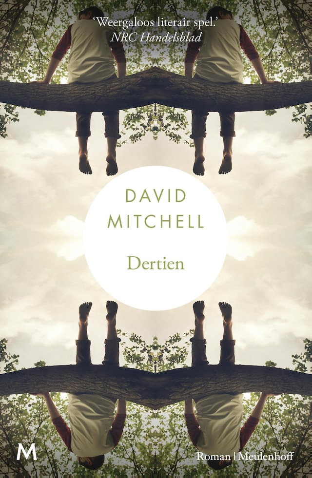 Book cover for Dertien