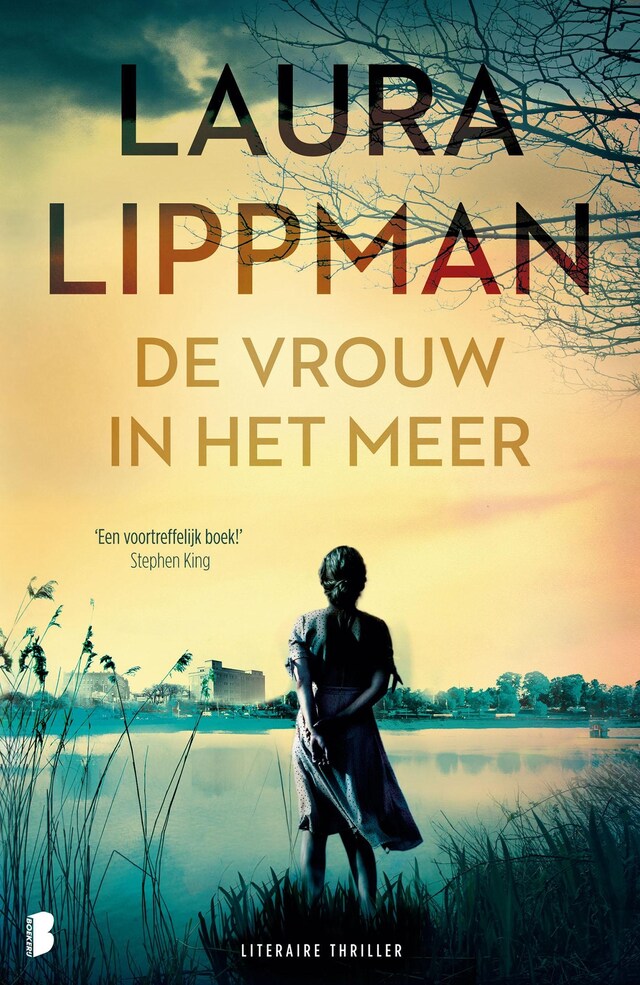 Book cover for De vrouw in het meer