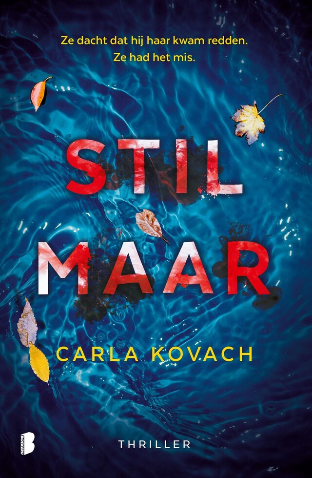 Book cover for Stil maar