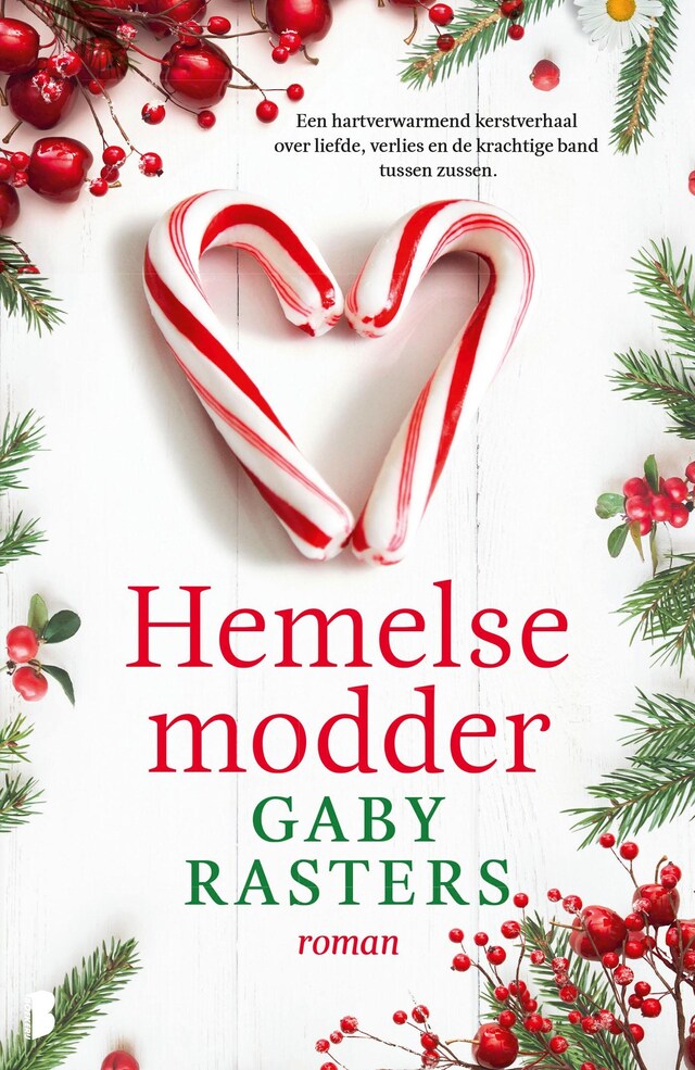 Book cover for Hemelse modder