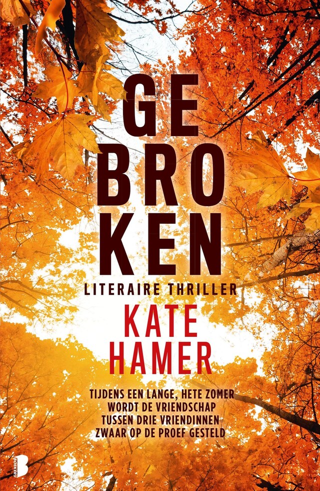 Buchcover für Gebroken