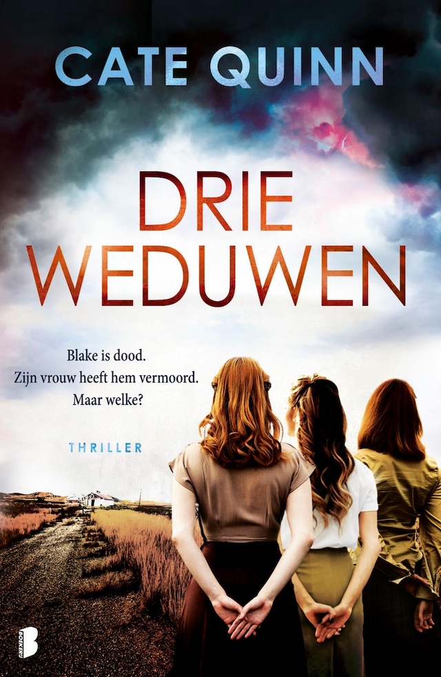 Book cover for Drie weduwen