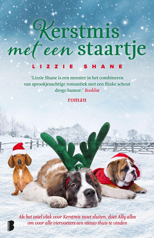 Buchcover für Kerstmis met een staartje