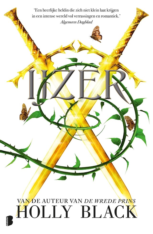 IJzer Buchcover für IJzer