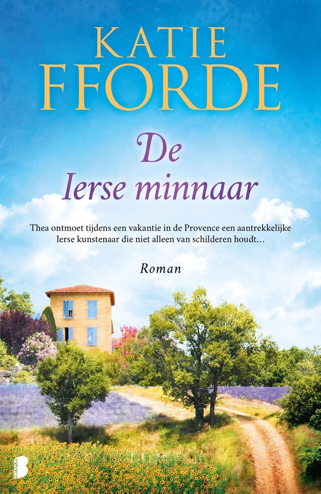 Book cover for De Ierse minnaar