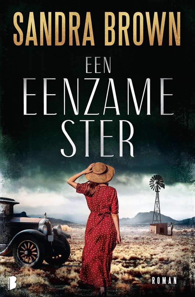 Book cover for Een eenzame ster