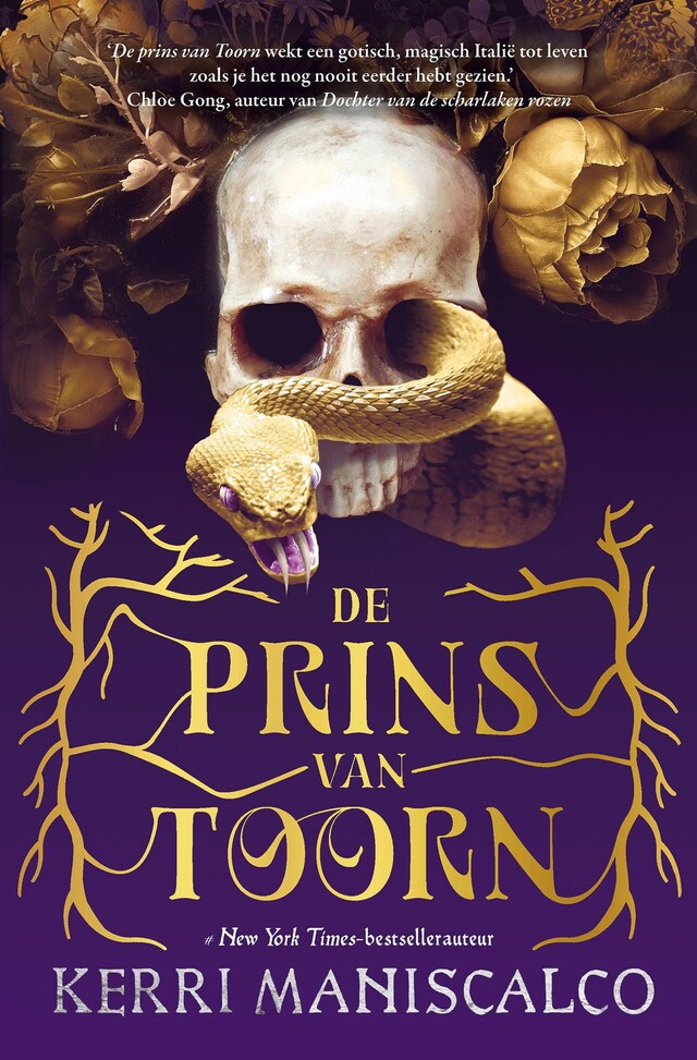 Book cover for De prins van Toorn