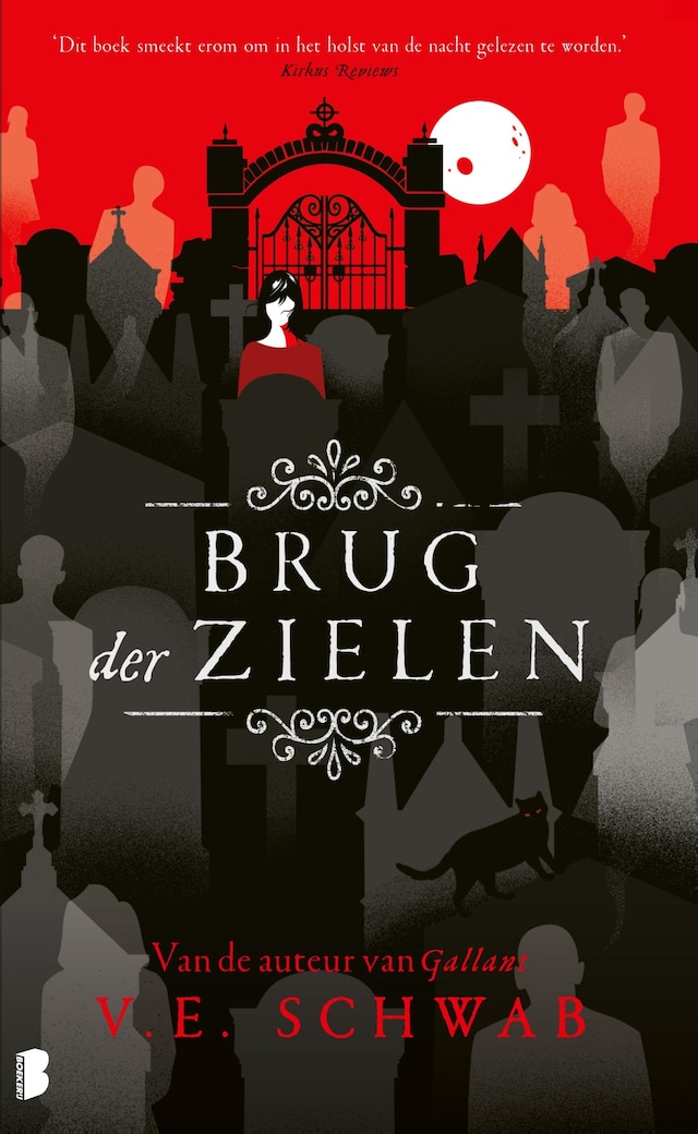 Book cover for Brug der zielen