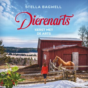 Kerst met de arts - luisterboek