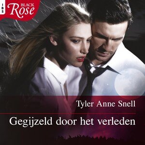 Gegijzeld door het verleden - luisterboek