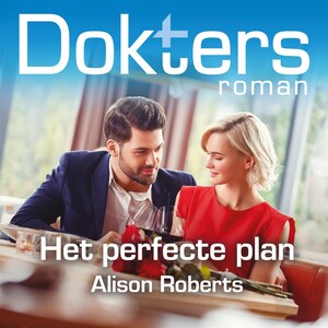 Het perfecte plan - luisterboek