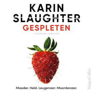 Gespleten - luisterboek