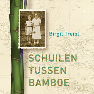 Schuilen tussen bamboe - luisterboek