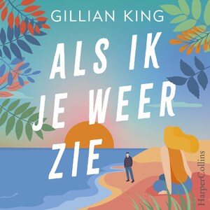 Als ik je weer zie - luisterboek