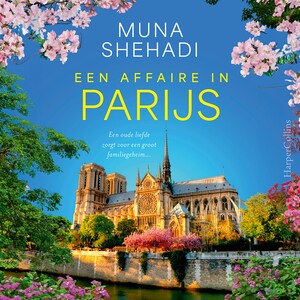 Een affaire in Parijs - luisterboek