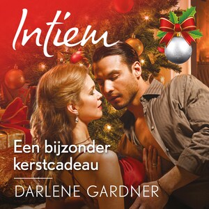 Een bijzonder kerstcadeau - luisterboek