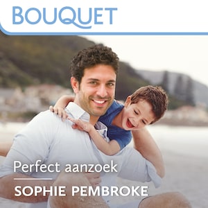 Perfect aanzoek - luisterboek