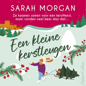 Een kleine kerstleugen - luisterboek