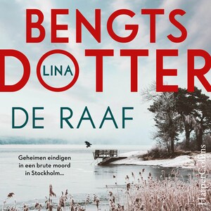 De raaf - luisterboek