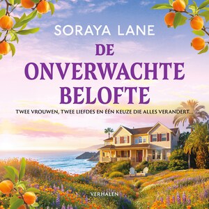 De onverwachte belofte - luisterboek