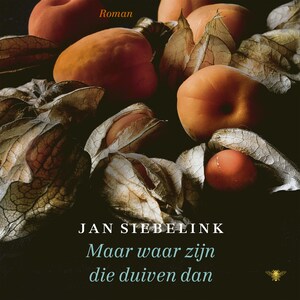 Maar waar zijn die duiven dan - luisterboek
