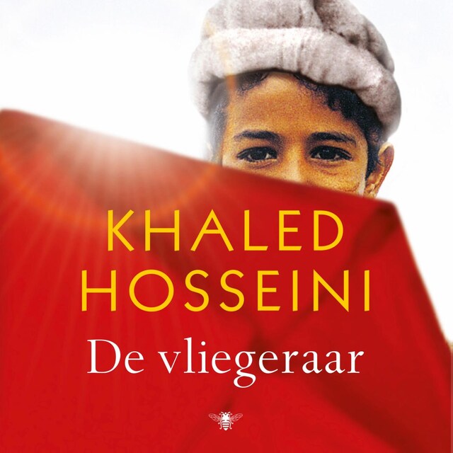 Book cover for De vliegeraar