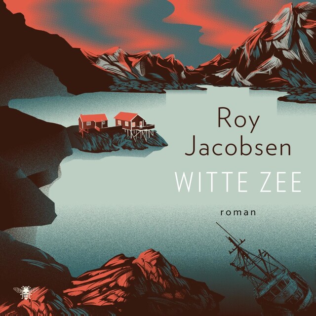 Copertina del libro per Witte zee