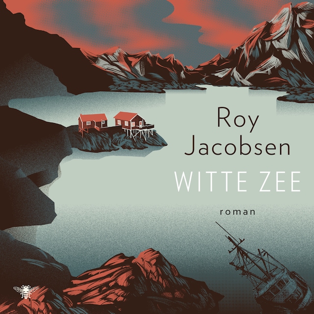 Book cover for Witte zee