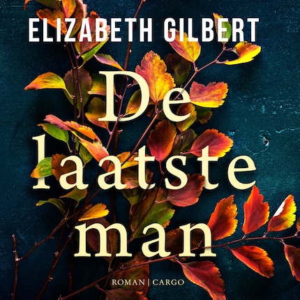 De laatste man bookCoverFor