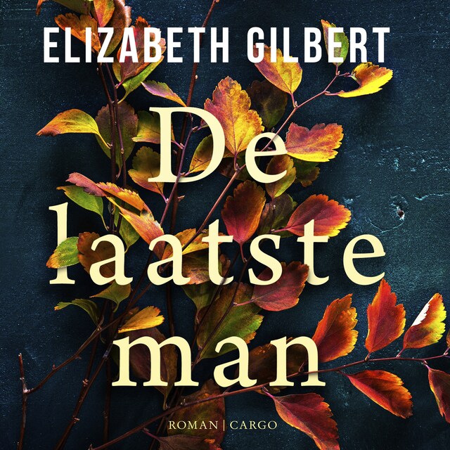 Copertina del libro per De laatste man