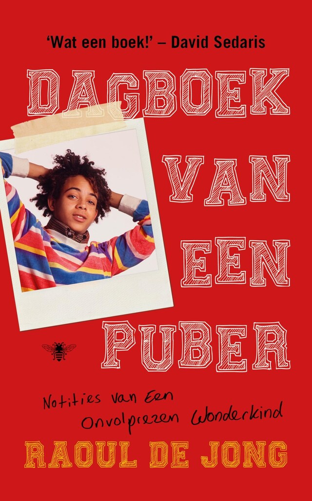 Book cover for Dagboek van een puber