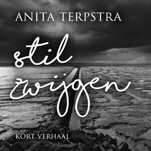 Stilzwijgen - luisterboek