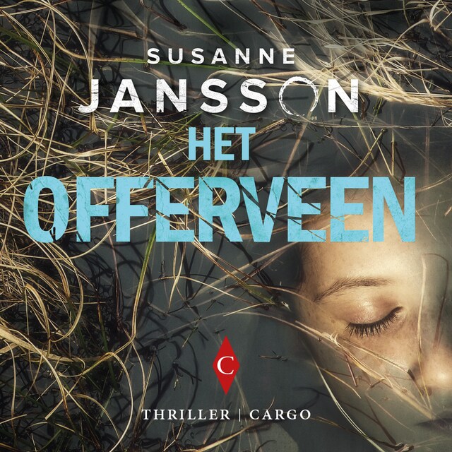 Book cover for Het offerveen