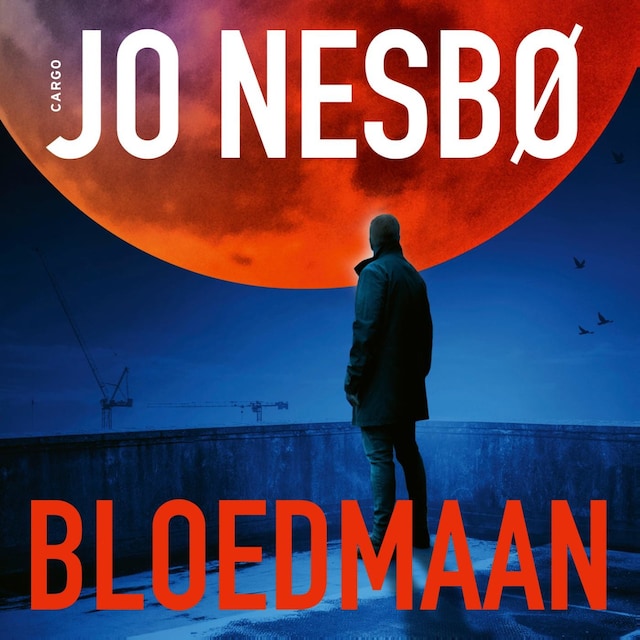 Copertina del libro per Bloedmaan