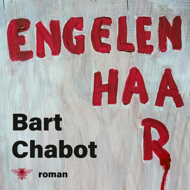 Book cover for Engelenhaar
