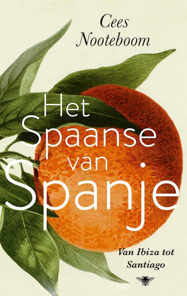Book cover for Het Spaanse van Spanje