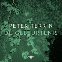 De gebeurtenis