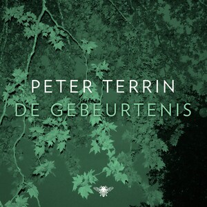 De gebeurtenis - luisterboek