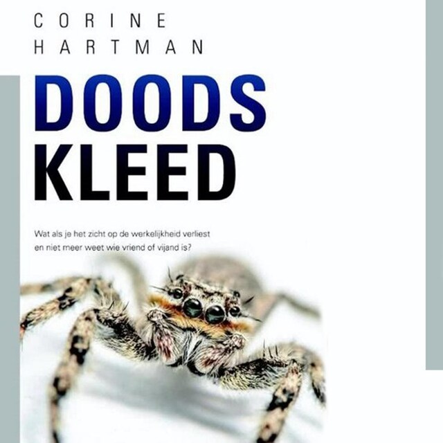 Doodskleed Book cover for Doodskleed
