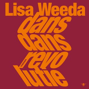 Dans dans revolutie - luisterboek