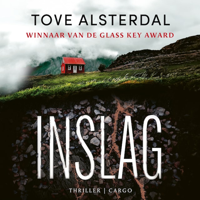 Book cover for Inslag