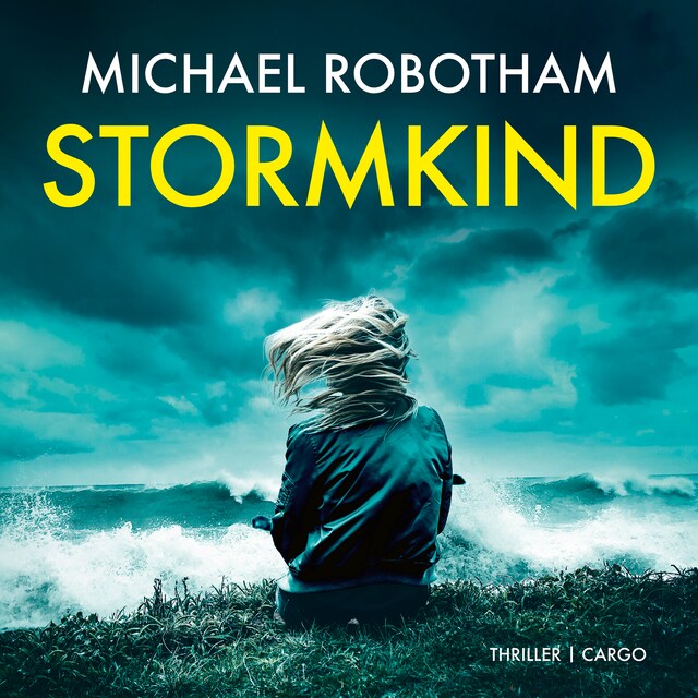 Book cover for Stormkind