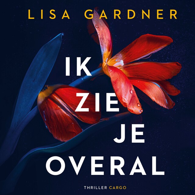 Book cover for Ik zie je overal